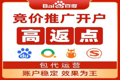 顶级SEM服务公司案例解析